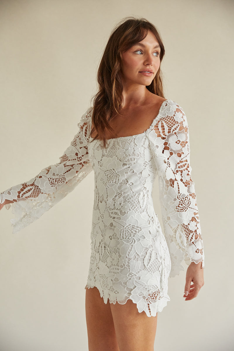 Liz Lace Long Sleeve Mini Dress • American Trendy Boutique – americanthreads