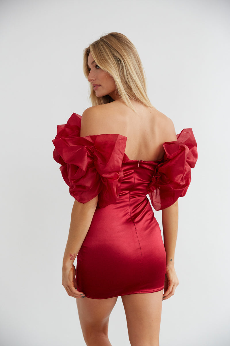 Emilia Organza Ruffle Dress • Shop American Threads Women's Trendy