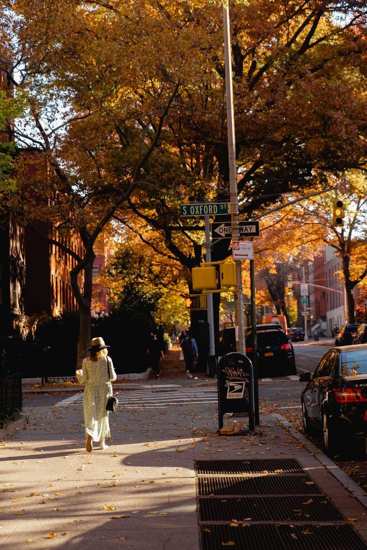 Women's Fall Outfit Ideas for 2026