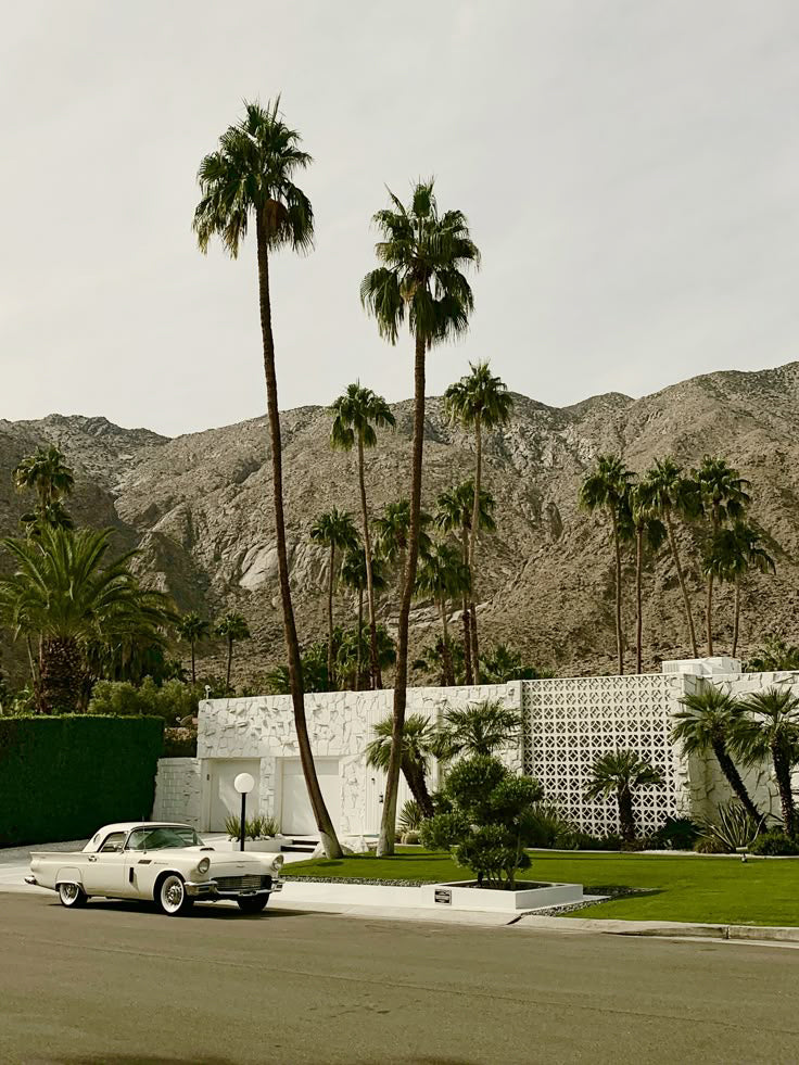 The Palm Springs City Guide: A Local's POV
