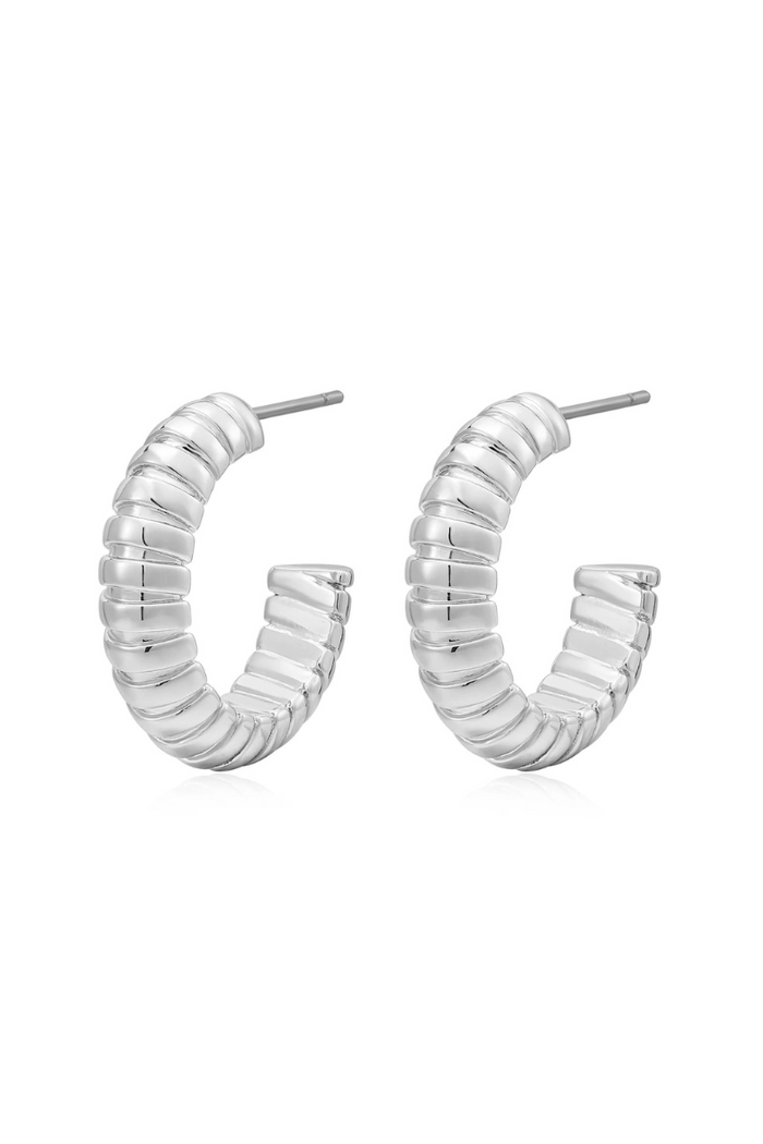 luv aj silver snake chain hoop earrings