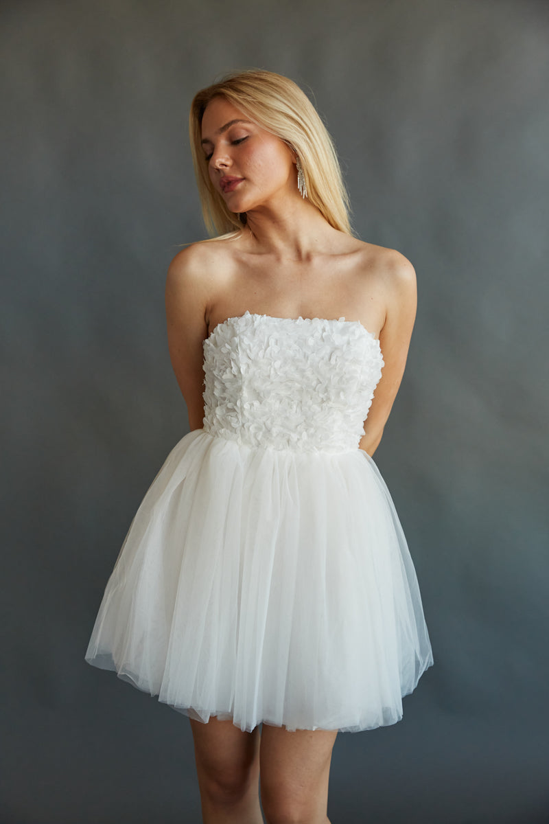 1223-French Lace Tulle Babydoll Dress