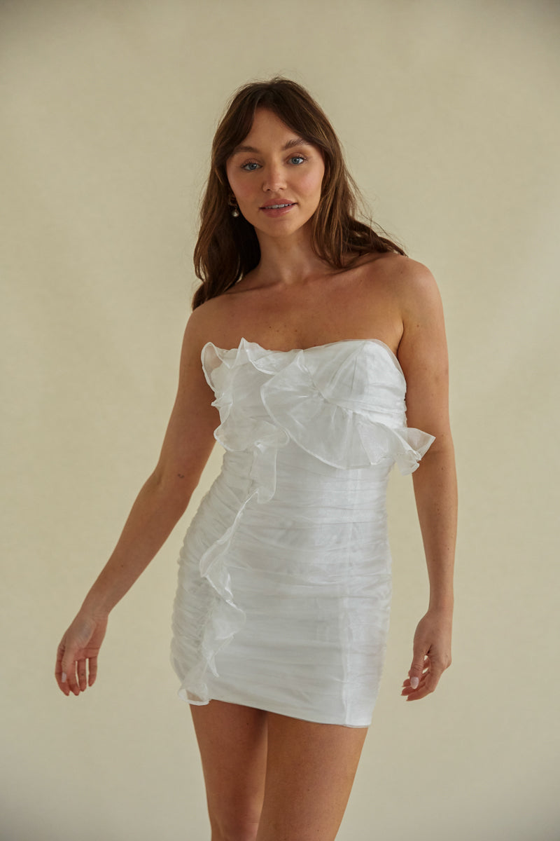mini bodycon dresses Sam Ruched Organza Dress • Shop American Threads Boutique Women's
